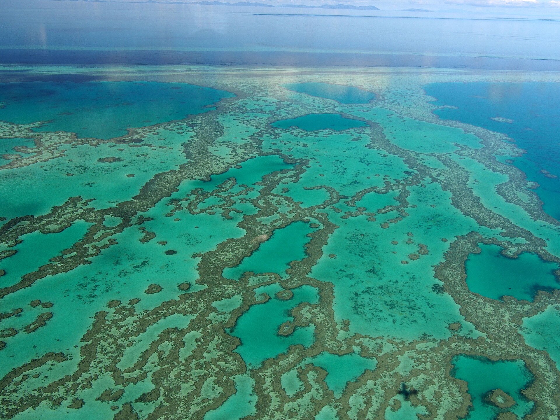 Great Barrier Reef & Queensland, Australia — Mercury Pacific group ground handling