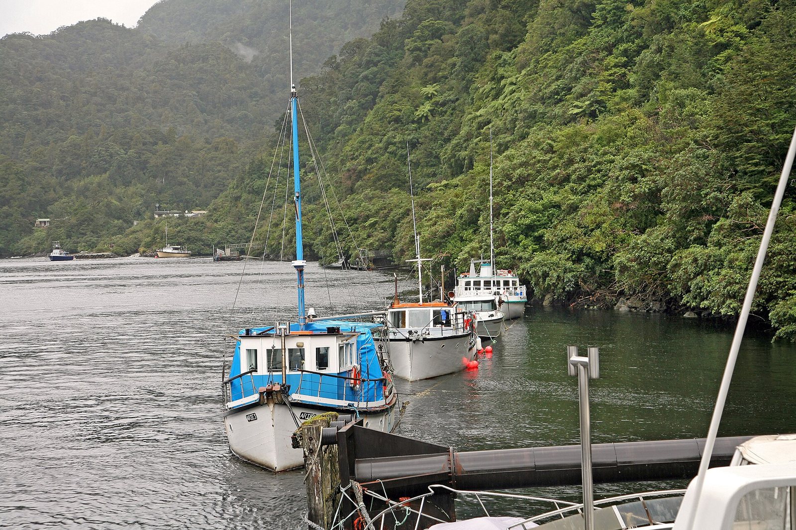 Doubtful Sound Overnight — Mercury Pacific group ground handling