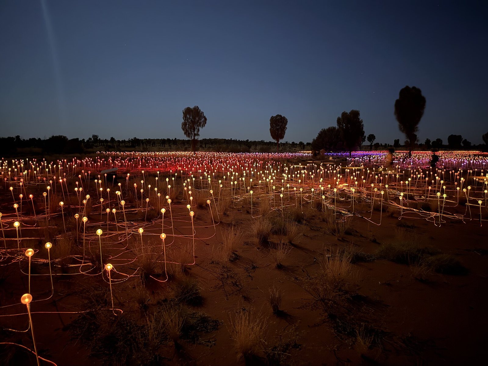 Field of Light — Mercury Pacific group ground handling