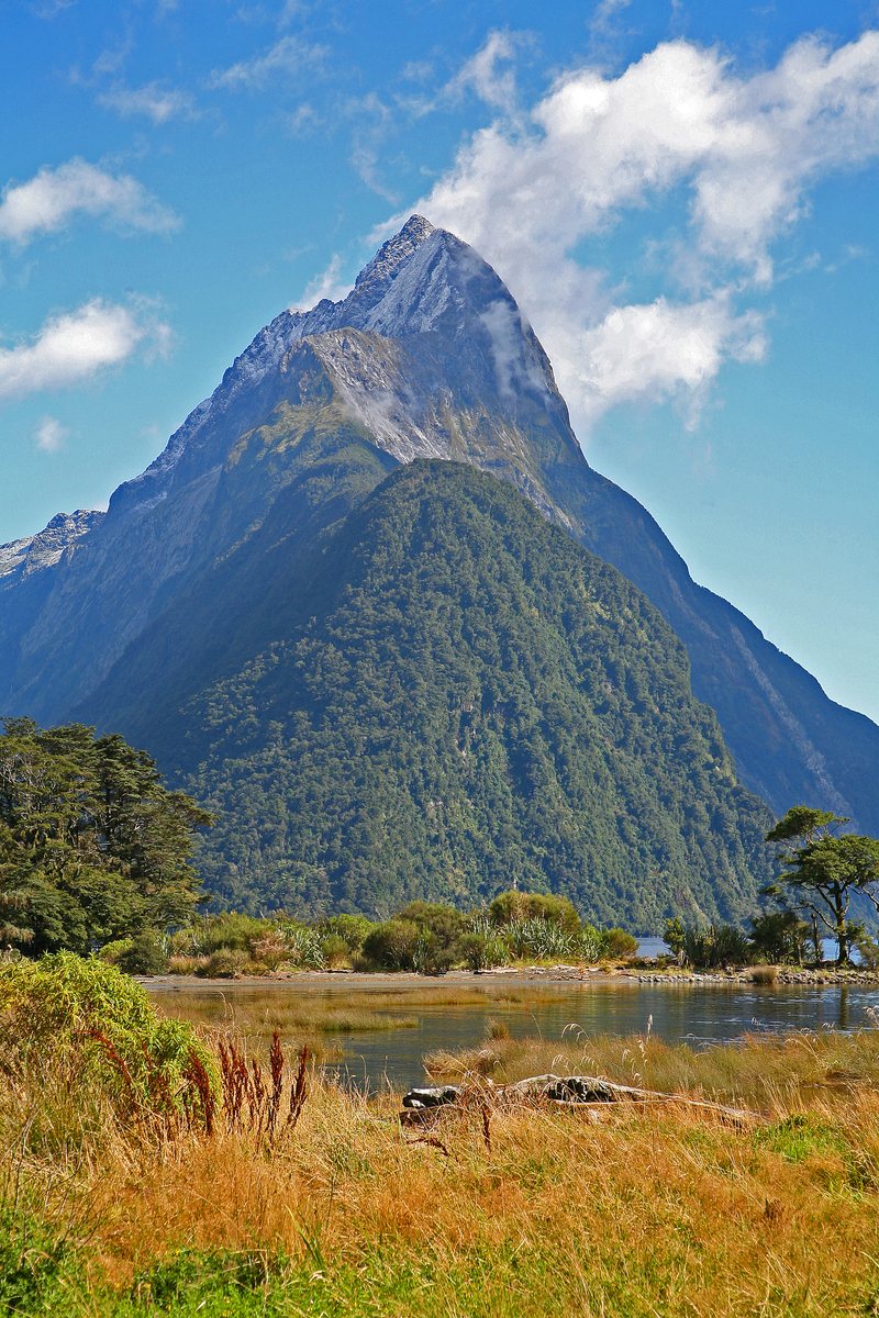 Scenic flight over Milford Sound