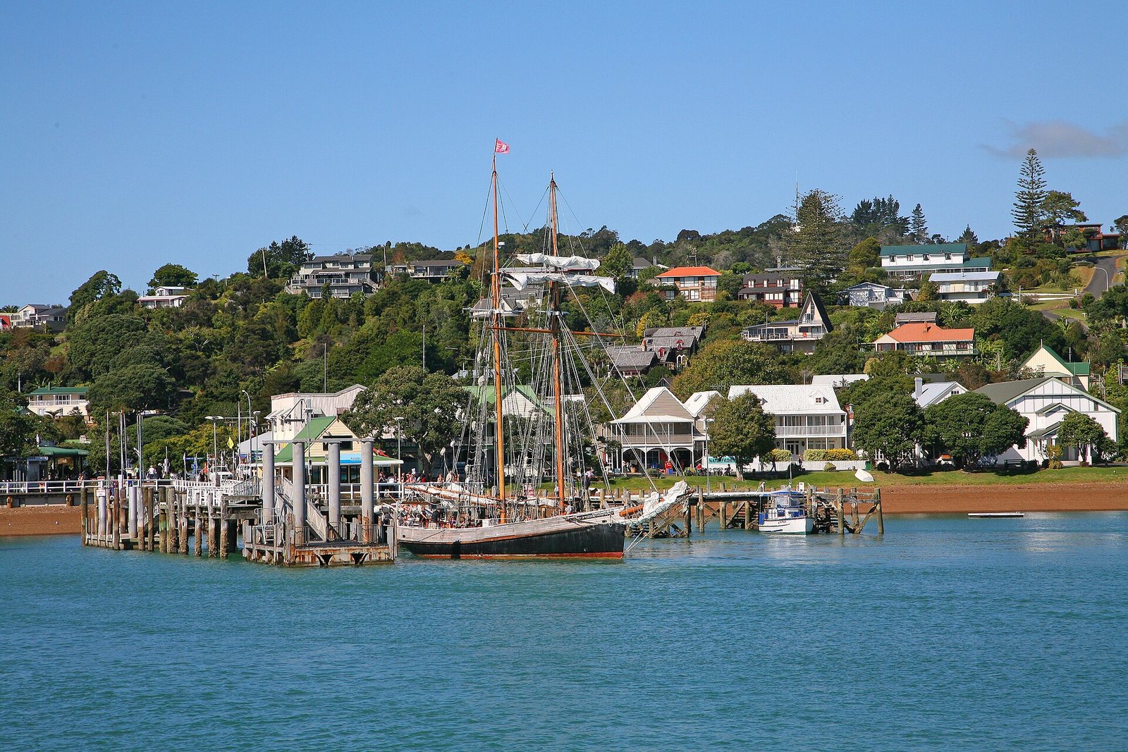 Bay of Islands — sailing with dolphins