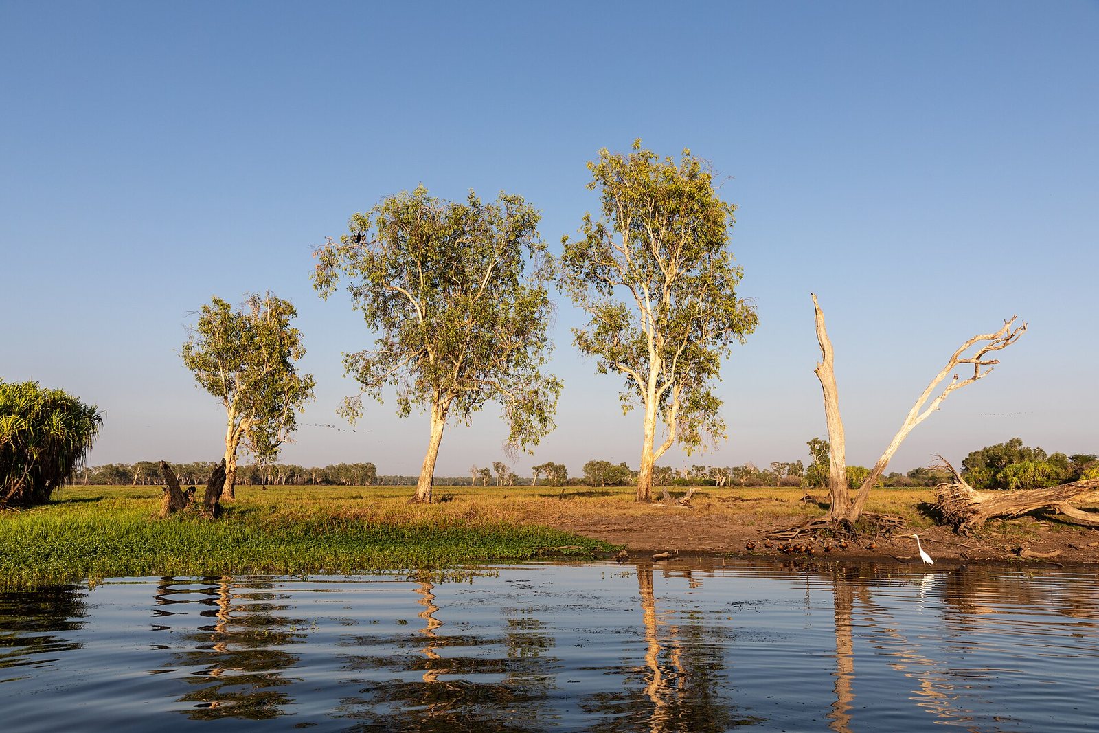 Yellow Water Billabong Cruise — Mercury Pacific group ground handling