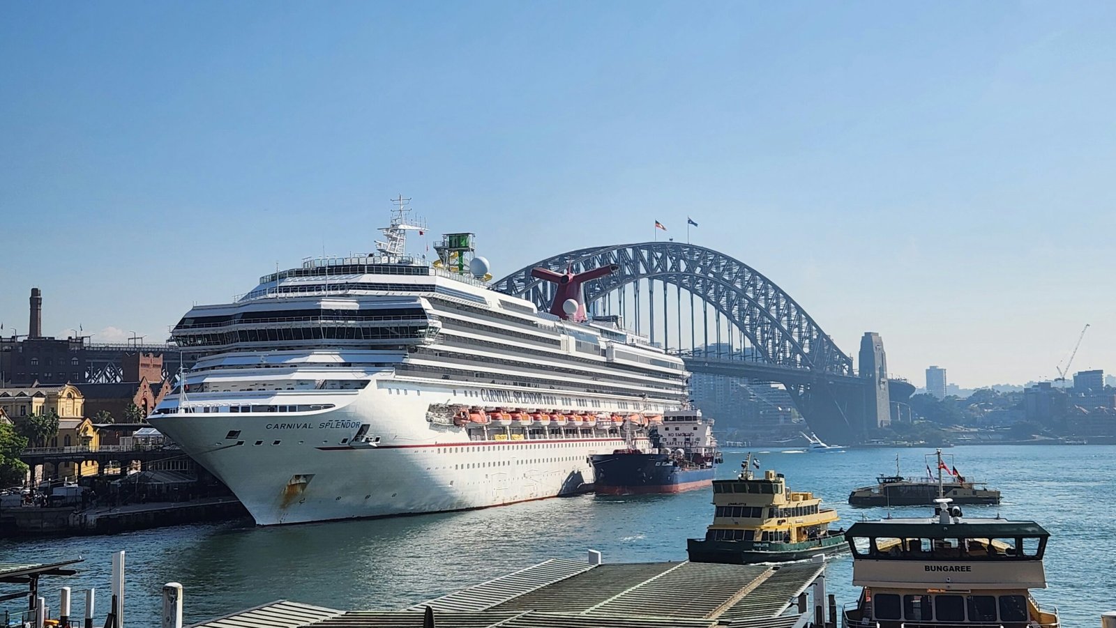 Cruise ship docked in a scenic New Zealand port with shore excursion vehicles ready